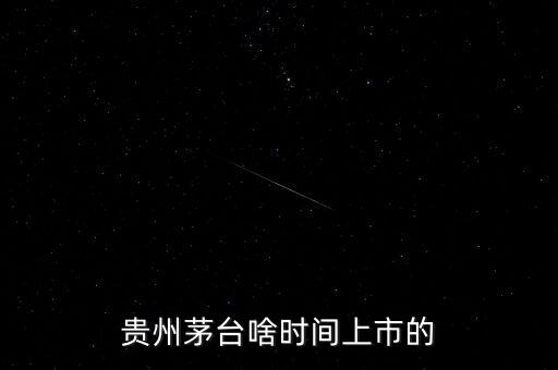 貴州茅臺(tái)什么時(shí)候上市，貴州茅臺(tái)啥時(shí)間上市的