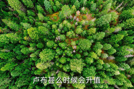 盧布什么時(shí)候升值，盧布甚么時(shí)候會升值
