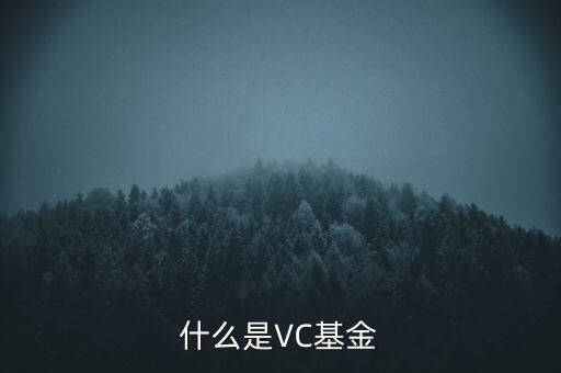 vc基金是什么，什么叫VC基金