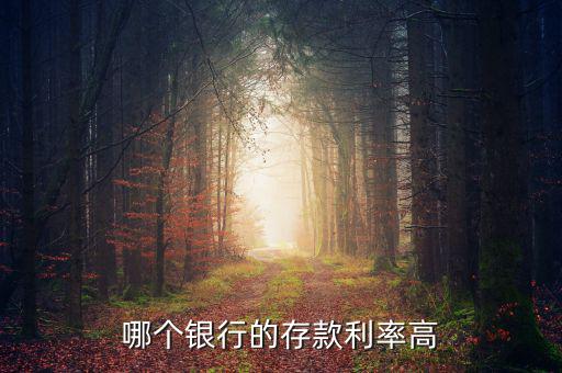 錢存什么銀行利息高，哪個(gè)銀行的存款利率高