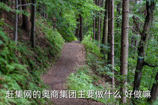 奧骨集團是做什么的，趕集網(wǎng)的奧商集團主要做什么 好做嘛