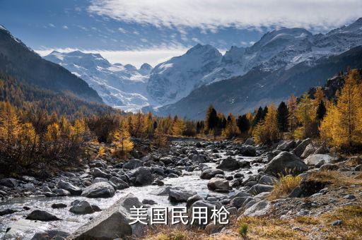 美國1994年禁什么槍，美國民用槍