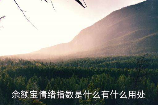 余額寶情緒指數(shù)在什么地方看，到哪里查看余額寶操作方法