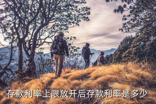 存款上限放開什么時(shí)候，各大商業(yè)銀行放開存款上限有什么政策