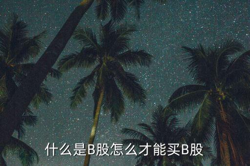 什么是b股賬戶(hù)，A股B股帳戶(hù)問(wèn)題