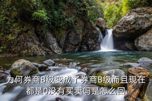 券商B級為什么賣不掉，證券b級怎么沒有交易