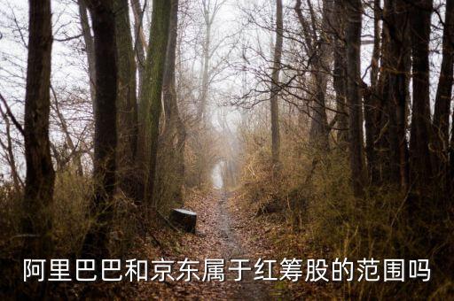 紅籌股是什么意思，權(quán)重股紅籌股