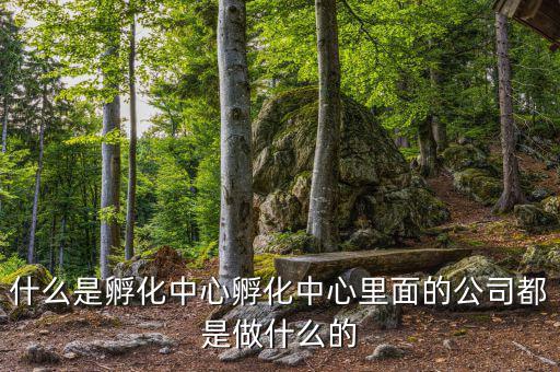 信隆實(shí)業(yè)是做什么的，什么是孵化中心孵化中心里面的公司都是做什么的