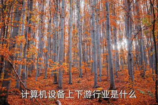 什么是計(jì)算機(jī)上游行業(yè)，軟件行業(yè)的上下游行業(yè)有哪些