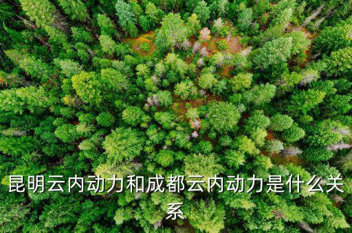 云南云內(nèi)動(dòng)力是什么性質(zhì)，什么是云內(nèi)發(fā)動(dòng)機(jī)