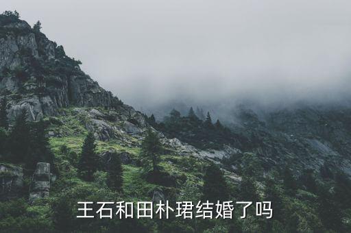 田樸B和王石什么時(shí)候認(rèn)識(shí)的，田樸珺是如何俘獲王石的我看她并不十分漂亮啊