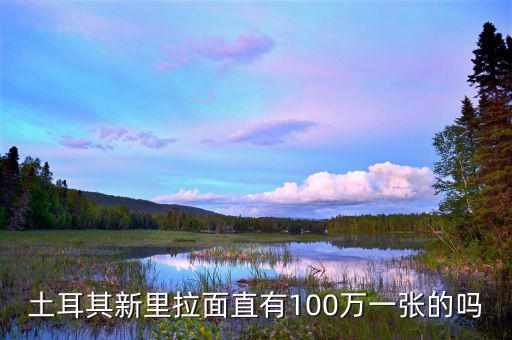 土耳其為什么里拉上漲，為什么土耳其里拉不提升面值