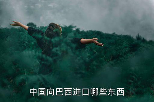 美國從巴西進(jìn)口什么，中國向巴西進(jìn)口哪些東西