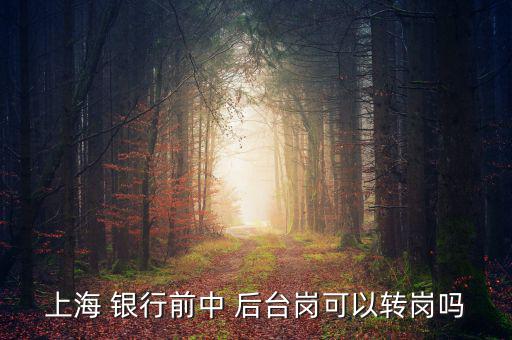 銀行前臺(tái)怎么轉(zhuǎn)后臺(tái),銀行分為中央銀行和政策銀行、商業(yè)銀行等