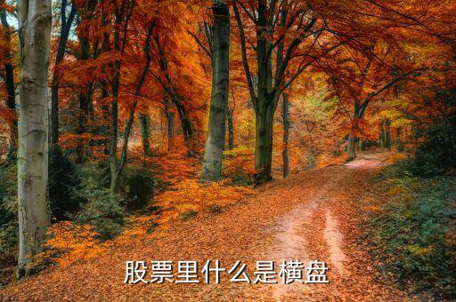 橫盤調(diào)整什么意思，股民們說的建倉橫盤是什么意思