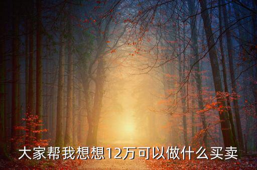 12萬投資什么項目，投資十二萬元能做什么呢