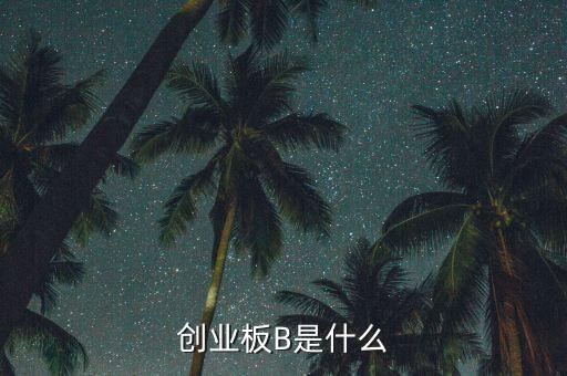 創(chuàng)業(yè)板b杠桿是什么，創(chuàng)業(yè)板B是什么