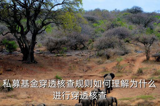 基金的穿透是什么意思，私募基金合格投資者的穿透核查怎么理解