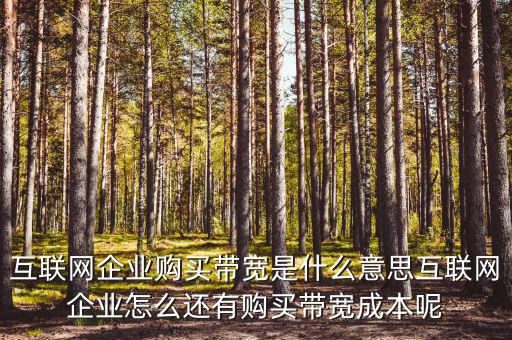 帶寬采購是什么意思，請(qǐng)問帶寬出口批發(fā)是什么出口的定義是 麻煩幫幫忙