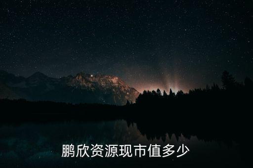 鵬欣資源是什么公司，鵬欣資源現(xiàn)市值多少