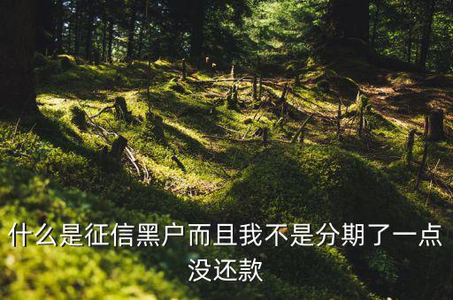 什么樣的征信算黑戶，什么是征信黑戶而且我不是分期了一點(diǎn)沒(méi)還款