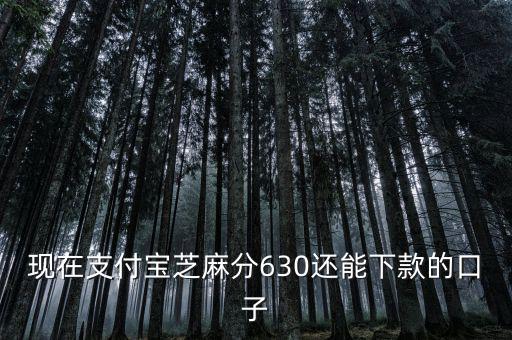 支付寶口子是什么意思，支付寶口子是什么意思