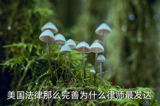 為什么美國賠償那么高，美國人為什么那么高