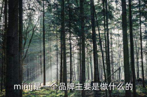 曹山石是干什么的，minij是一個(gè)品牌主要是做什么的