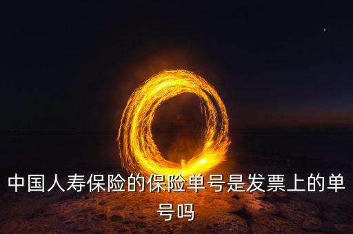 中國人壽保單號是什么，人保保單的保單號的含義是什么