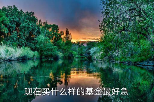 現(xiàn)在買什么基金最好，現(xiàn)在買哪個基金好