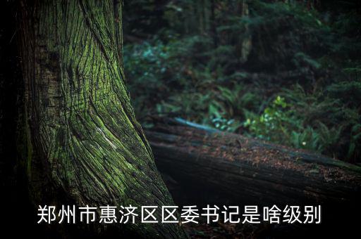 王洪章是什么級(jí)別，武警江西省總隊(duì)司令是什么級(jí)別