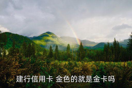 建設(shè)銀行信用卡什么卡種是金卡，我申請建設(shè)銀行的信用卡我申請的是金卡審核通過了上面寫的卡