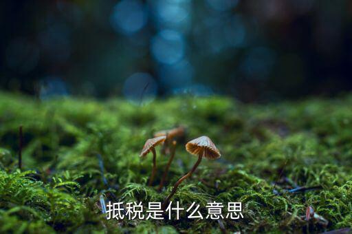 公司抵稅是什么意思，抵稅是什么意思