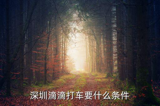 深圳滴滴打車(chē)要什么條件