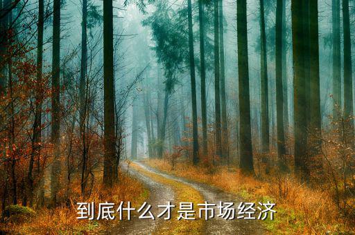 什么是市場(chǎng)經(jīng)濟(jì)，什么是市場(chǎng)經(jīng)濟(jì)