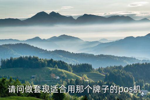套現(xiàn)pos機什么樣的好，請問做套現(xiàn)適合用那個牌子的pos機