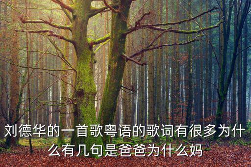 法為什么對is空襲，劉德華的一首歌粵語的歌詞有很多為什么有幾句是爸爸為什么媽