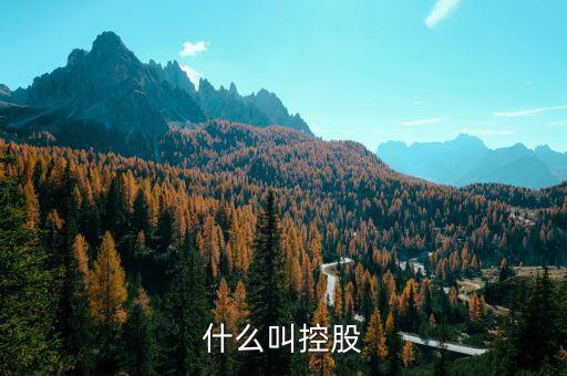 什么是控股關系，什么叫控股