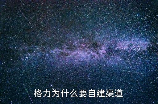 格力為什么自建渠道，格力與國(guó)美電器將來(lái)的合作的可能性如何請(qǐng)說(shuō)明原因