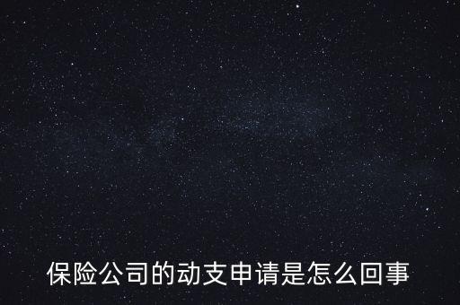 什么是動支申請，怎么樣支申請