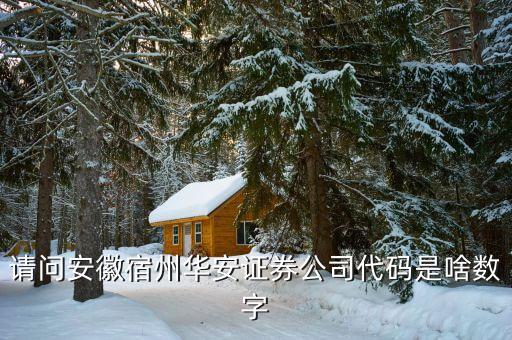 華安證券什么時(shí)間上市，請(qǐng)問(wèn)安徽宿州華安證券公司代碼是啥數(shù)字