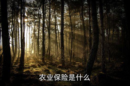 傳統(tǒng)農業(yè)保險主要保什么風險，農業(yè)保險是什么