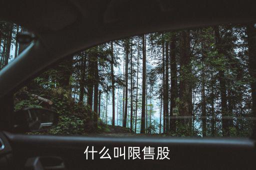 什么是上市公司限售股，什么叫限售股份