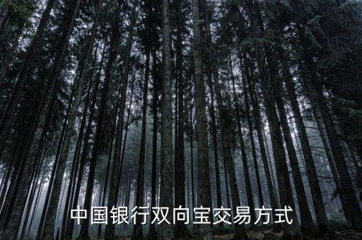 中國銀行雙向?qū)毷鞘裁?，中國銀行雙向?qū)殬I(yè)務(wù)詳細(xì)介紹