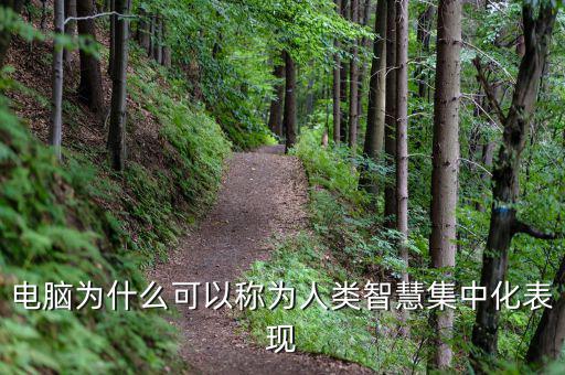 電腦為什么能夠做人工智能，電腦為什么可以稱為人類智慧集中化表現(xiàn)