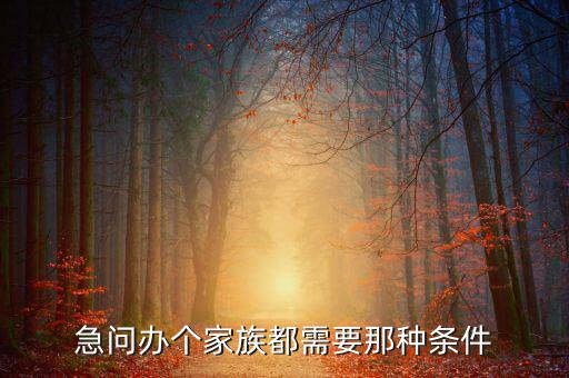 注冊(cè)家族辦公室需要什么資質(zhì)，急問(wèn)辦個(gè)家族都需要那種條件
