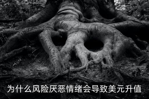 sdr和美元指數(shù)構(gòu)成有什么關(guān)系，為什么A股和美元指數(shù)有關(guān)系
