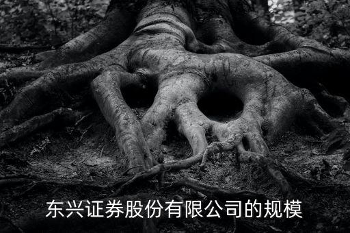 東興證券為什么是龍頭，東興證券這家證券公司怎么樣