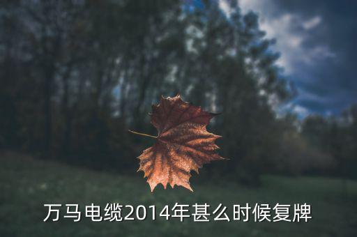 萬馬股份什么時候復(fù)牌，000560各位大神知道啥時候復(fù)牌