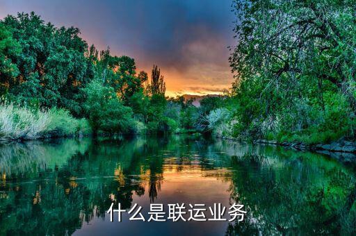 什么是聯運業(yè)務